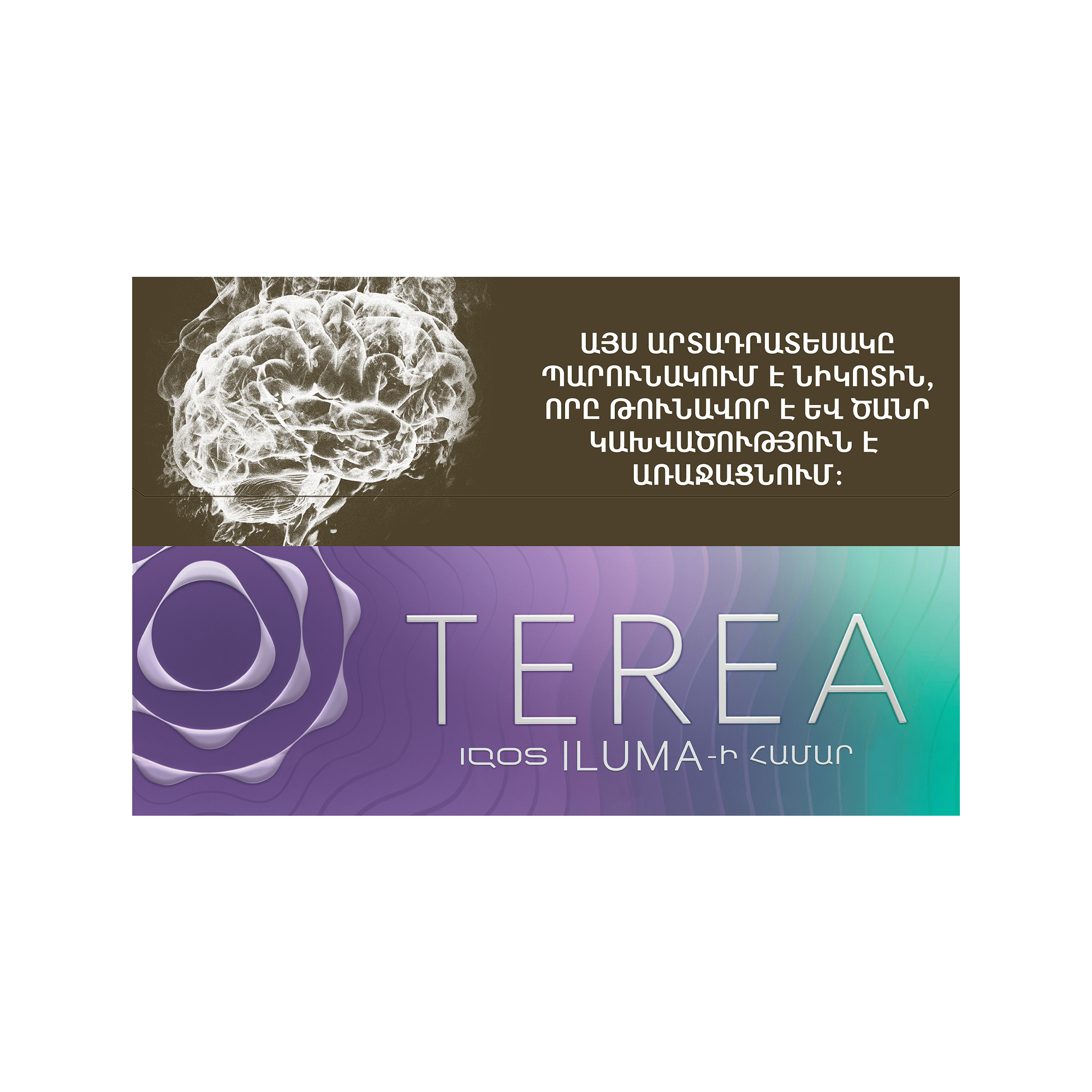 Տաքացվող Ծխախոտի Գալանակ Ֆիլտրով Տերեա Փարփլ