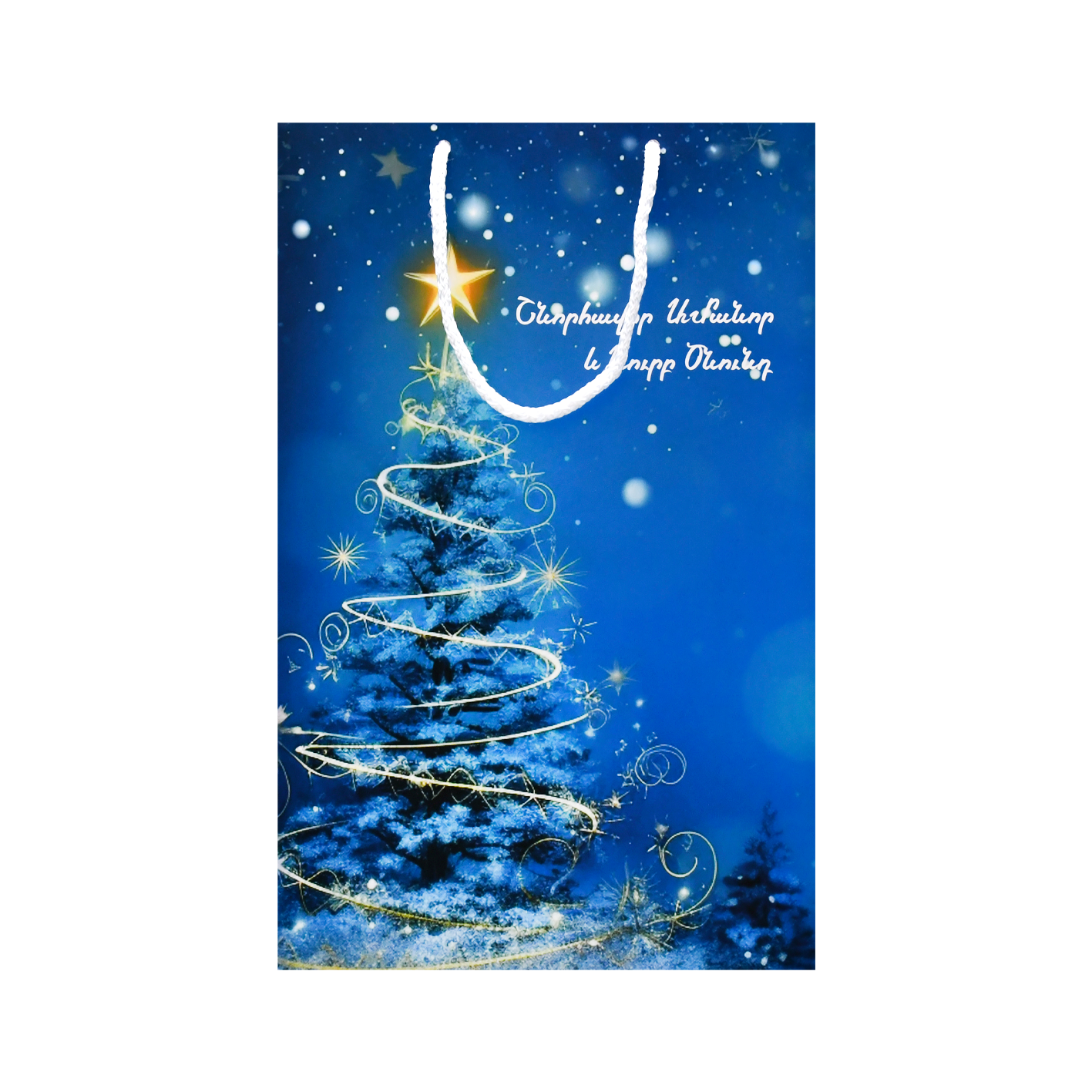 Տոպրակ թղթյա 520