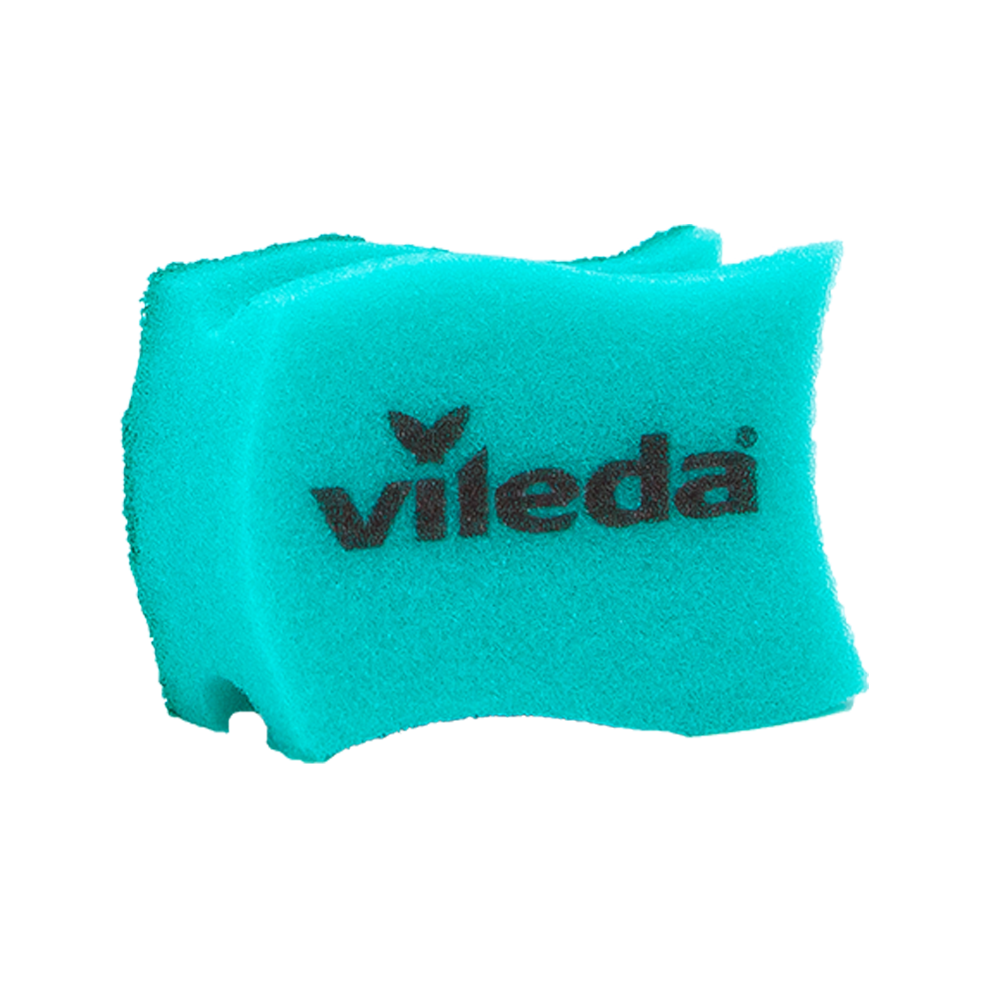 Սպունգ Վիլեդա ձևավոր