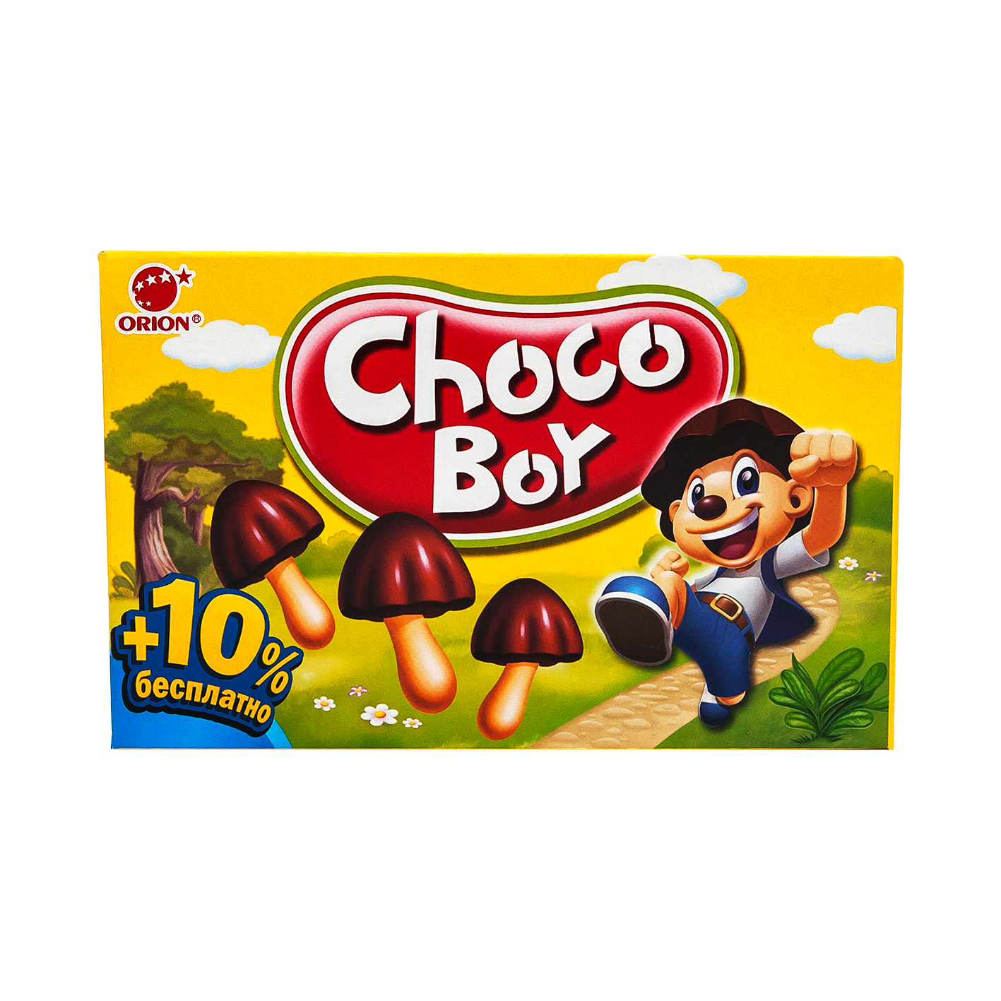 Շոկոլադապատ թխվածքաբլիթ Չոկո-Բոյ 45գ