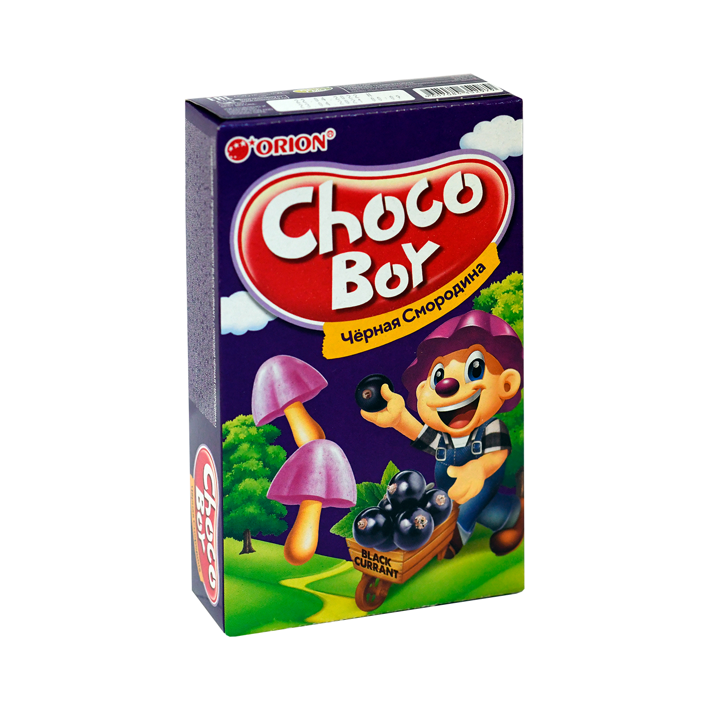 Շոկոլադապատ թխվածքաբլիթ Չոկո-Բոյ 45գ